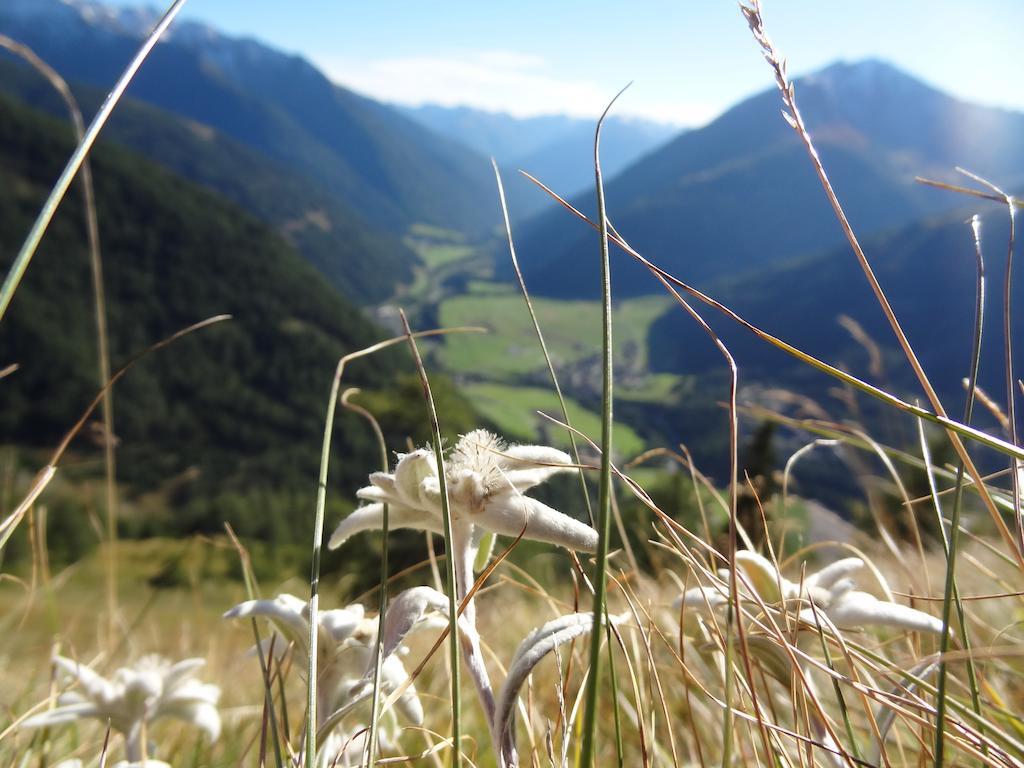Ferienhaus Meins Kals-am Großglockner Buitenkant foto
